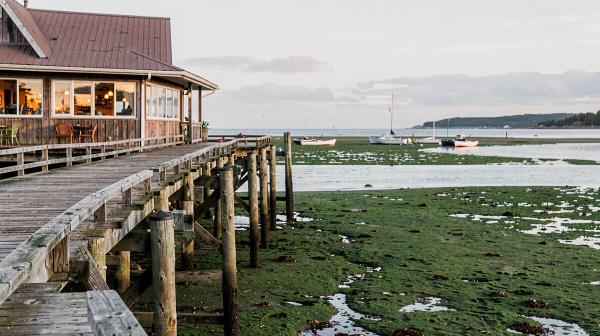 A weathered wooden boardwalk on pilings at Halibut Cove at low tide, a single restaurant building with warm windows at the left, green water and moored skiffs below, late afternoon light from the west, wide horizontal framing.